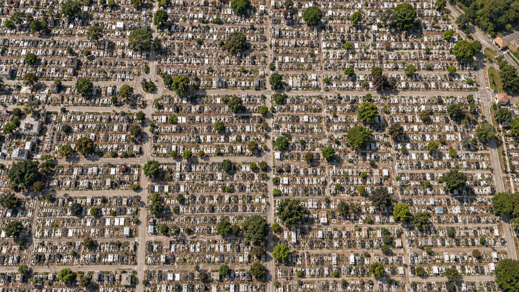 Natural Burial
